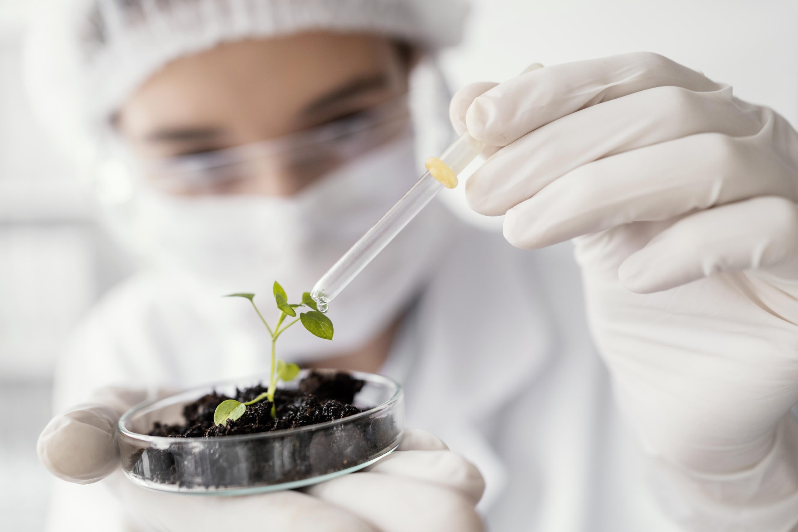 Agriculture lab scientist watering