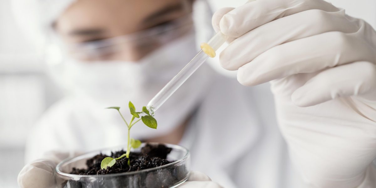 close-up-scientist-watering-plant Agriculture lab scientist watering